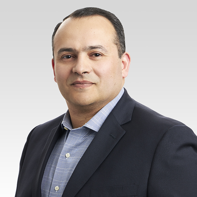 Waleed Hassanein, M.D.